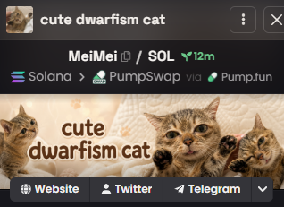 A screenshot of a cryptocurrency token page for 'MeiMei' on Solana via PumpSwap/Pump.fun, featuring 'cute dwarfism cat' branding with cat images and social media links.