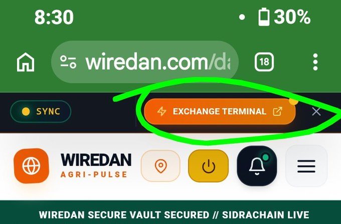 A screenshot of a mobile browser showing the website wiredan.com/dashboard with an "EXCHANGE TERMINAL" button circled in green.