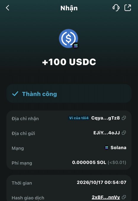 A cryptocurrency wallet confirmation screen in Vietnamese showing a successful receipt ('Thành công') of +100 USDC on the Solana network, dated 2026/10/17.