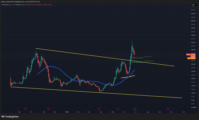 A TradingView chart of Whistlefi Inc (ticker WYFI) on the 1-day timeframe, dated June 10, 2025 UTC, shows the stock breaking out of a descending channel pattern with a retest near the 0.618 Fibonacci support level (around $33.25), accompanied by a moving average curve, illustrating the bullish breakout and confluence support highlighted in the post.