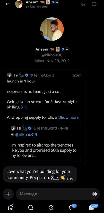 A Twitter/X DM conversation showing Ansem (@blknoiz06) replying supportively to user @TeTheGoatt's STE token launch announcement, with Ansem writing "Love what you're building for your community. Keep it up STE." The image relates to the post by promoting the STE meme coin, referencing Ansem as a crypto influencer endorsing the project.