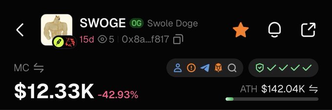 A screenshot of a cryptocurrency tracker showing the token "SWOGE" (Swole Doge) priced at $12.33K with a -42.93% decline, featuring a Shiba Inu dog avatar and a 15-day chart.