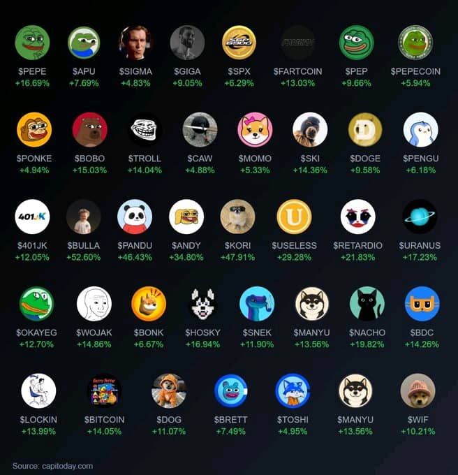 A grid of meme cryptocurrency tokens with names and percentage gains including $PEPE, $PONKE, $TROLL, $DOGE, $401.K, $WOJAK, $HOSKY, and $WIF, sourced from capitoday.com.