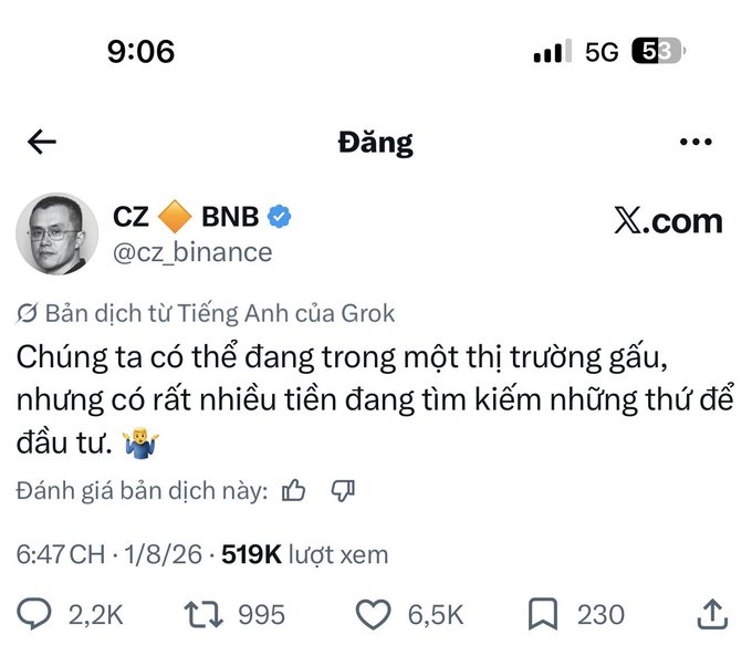 A screenshot of CZ (Changpeng Zhao), former CEO of Binance (@cz_binance), posting in Vietnamese via Grok translation: "Chúng ta có thể đang trong một thị trường gấu, nhưng có rất nhiều tiền đang tìm kiếm những thứ để đầu tư" ("We might be in a bear market, but there's a lot of money looking for things to invest in"), with 6.5K likes and 519K views, supporting the post's message about finding good investment opportunities despite bearish conditions.