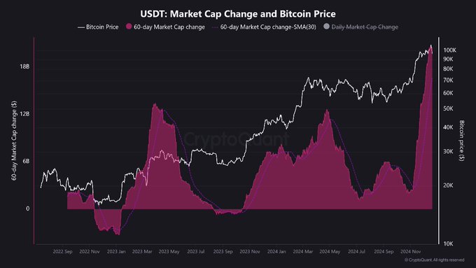 A 'USDT: Market Cap Change and Bitcoin Price' chart by CryptoQuant tracking 60-day market cap change against Bitcoin price from 2022 to November 2024.