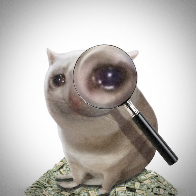 A white cat sits atop a pile of money while a magnifying glass enlarges one of its eyes dramatically. The image visually reinforces the "pay attention" message, suggesting that scrutinizing the small details—symbolized by the magnified eye—reveals hidden value or truth.