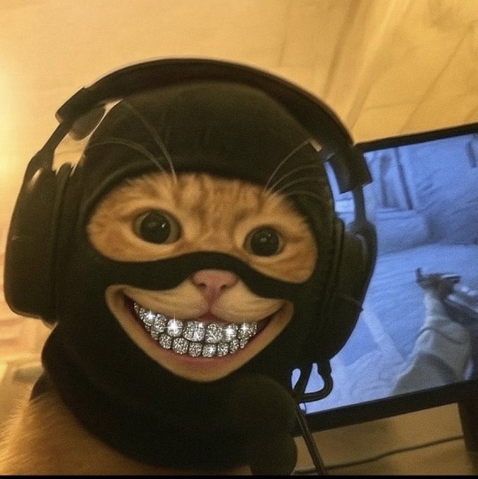 The user wants a concise caption for the image.
I need to look at the image content and the provided text to understand the context.

**Image Analysis:**
- The image shows a cat wearing a black balaclava (ski mask) that covers its head and face, leaving only the eyes, nose, and mouth visible.
- The cat is wearing large black headphones over the mask.
- The cat has a very wide, unnatural grin showing teeth that are covered in what looks like diamond grills (bling).
- In the background, there is a computer monitor displaying a video game (looks like a first-person shooter, possibly Counter-Strike or similar).
- The overall aesthetic is "meme-like" and "gritty" (ninja/cat hybrid).

**Text Analysis:**
- "It’s CatWifMask dummies , not Catwifhat." -> This identifies the subject as "CatWifMask".
- "$MASK has been grinding every day now for