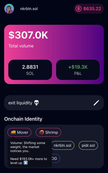 A mobile app dashboard displaying crypto trading statistics for user 'nkrbln.sol', showing a total volume of '$307.0K', '2.8831 SOL', and a P&L of '+$19.3K', with a tooltip noting 'Volume: Shifting some weight, the market notices you.'
