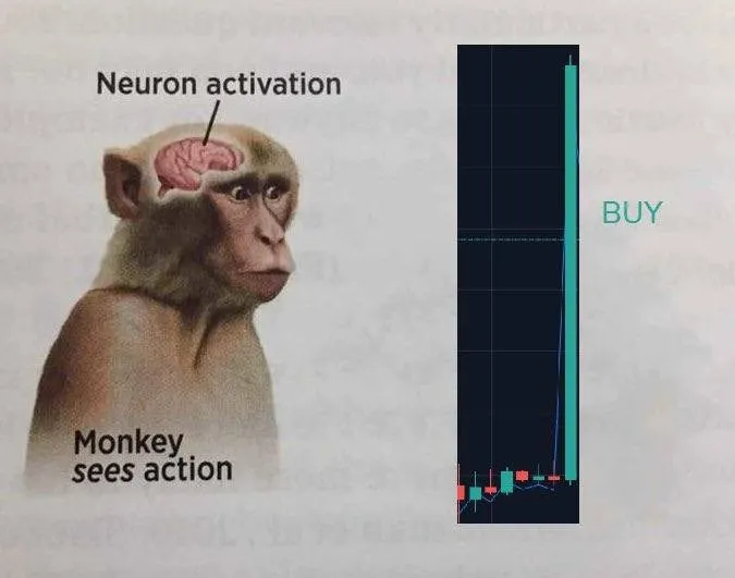 The image shows a monkey with its head tilted upwards, as if looking at something off-camera. Below the monkey's head, there are two lines of text that explain the concept of "Neuro Activation" and "Merry Christmas". In the bottom right corner of the image, there is a line of text that says "Linn'S Leverage #1029 is out: (Link in tweet below) @boros_fi @pendle_fi @maplefinance @Theo_Network @KyanExchange @Mantle_Official Like/Repost to support". The image seems to be related to the post about the leveraged ETFs, as it uses a monkey and its head to explain the concept of Neuro Activation.
