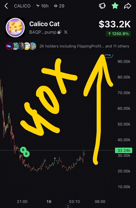 A screenshot of a cryptocurrency chart for 'Calico Cat' (BAQP...pump on pump.fun) showing $33.2K with a 1250.9% increase, overlaid with a yellow 'WOT' text and an upward arrow.