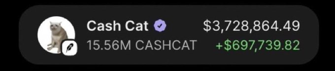 A digital wallet display shows a verified 'Cash Cat' account holding 15.56M CASHCAT tokens valued at $3,728,864.49, with a recent gain of +$697,739.82 shown in green.