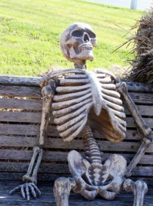 A skeleton lounges lazily on a wooden bench against a grassy backdrop, humorously embodying the post's caption about "bros" endlessly waiting on the US Bitcoin strategic reserve. The skeletal figure's relaxed posture emphasizes the prolonged anticipation for the reserve's establishment.