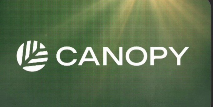 A green textured background with light rays shining down, displaying the white logo and text 'CANOPY'.