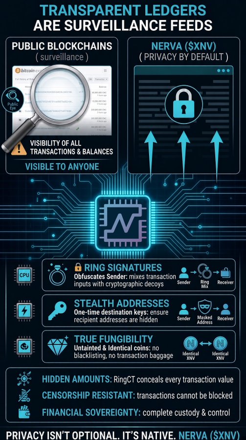 An infographic titled 'TRANSPARENT LEDGERS ARE SURVEILLANCE FEEDS' contrasts public blockchains with Nerva ($XNV), highlighting privacy features like Ring Signatures, Stealth Addresses, True Fungibility, Hidden Amounts, and Censorship Resistance.