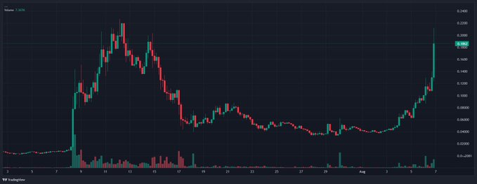 A TradingView candlestick chart for the ticker "CASH" (priced at $0.1985) shows a sharp vertical spike on the right side following a long period of sideways and declining price action. This dramatic breakout surge visually reinforces the post's bullish sentiment about CASH being a "leading dragon" coin that outperforms other "RH coins" on Robinhood.