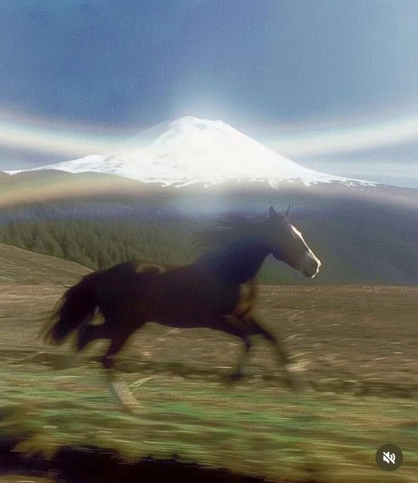 A dark horse gallops across an open field with a snow-capped mountain glowing in the background, visually echoing the post's "POV: You run a node" by depicting swift, unstoppable movement across vast terrain.