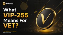 A Bitrue cryptocurrency promotional banner poses the question 'What VIP-255 Means For VET?' next to a stylized 'V' logo.