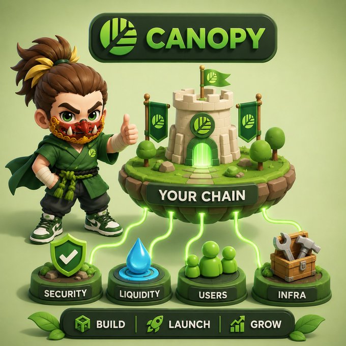 3D cartoon-style illustration for 'CANOPY' blockchain service showing a ninja character, a castle labeled 'YOUR CHAIN', and pillars representing Security, Liquidity, Users, and Infra with a 'Build, Launch, Grow' tagline.