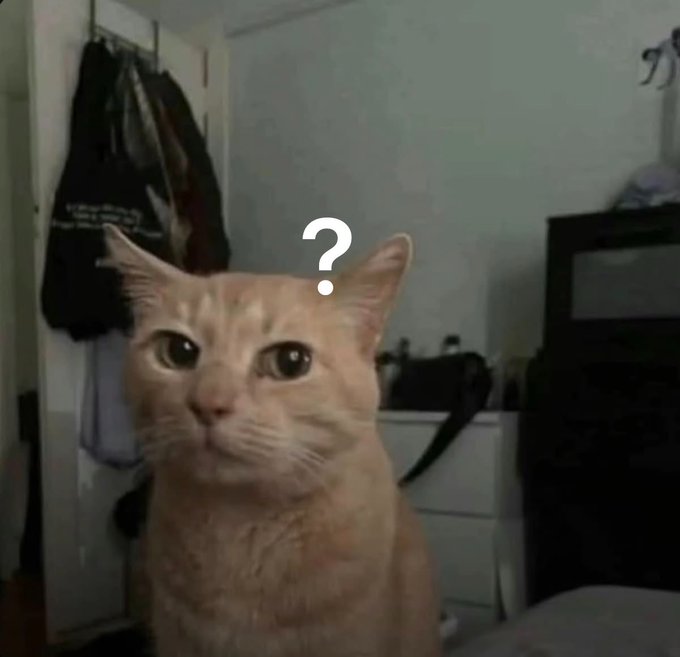 The image features a cat sitting on top of a bed, looking up at something or someone with an inquisitive expression. The cat's position on the bed suggests that it might be curious about its surroundings or waiting for attention from its owner. In the background, there is a black dresser and a white wall, which adds to the overall composition of the image.