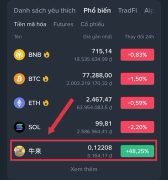 A Vietnamese-language crypto trading app shows BNB, BTC, ETH, and SOL all in decline, while a meme coin called 牛来 (Ox) is highlighted in a red box with a massive +48.25% gain at 0.12208.