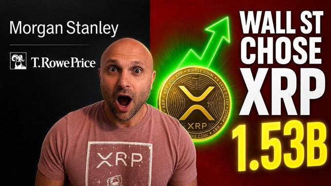 The image shows a man with an expression of surprise or shock while standing next to a logo for a company called T Rowe Price. The text in the image reads "Wall Street's secret XRP accumulation EXPOSED Morgan Stanley just dropped the biggest XRP bombshell of 2024 New video breaks down everything youtu.be/L6TIkVj2vQM". 

The man seems to be reacting to something related to a company or a product involving the use of cryptocurrencies, such as XRP. He appears interested in what he sees and could potentially be discussing this information with others who are also paying attention to it.