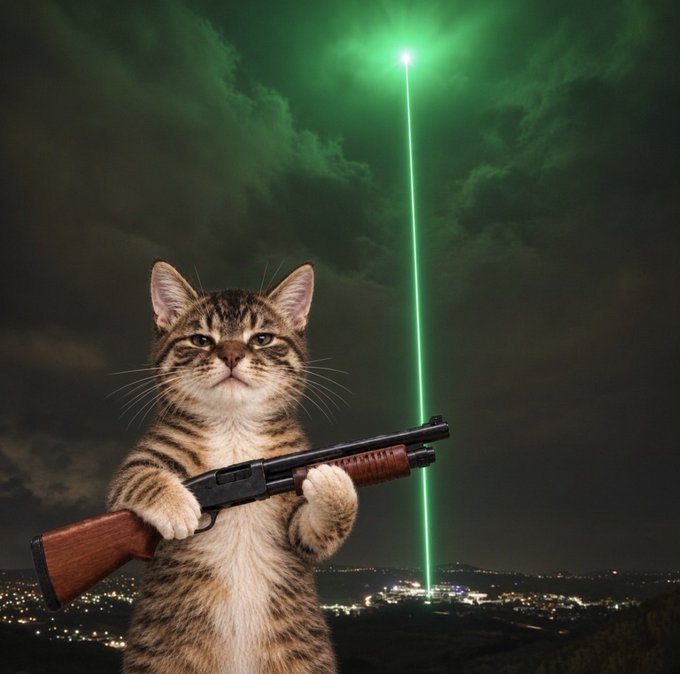 A digitally edited image of a tabby cat standing upright and holding a pump-action shotgun, with a bright green laser beam shooting into the night sky above a city.