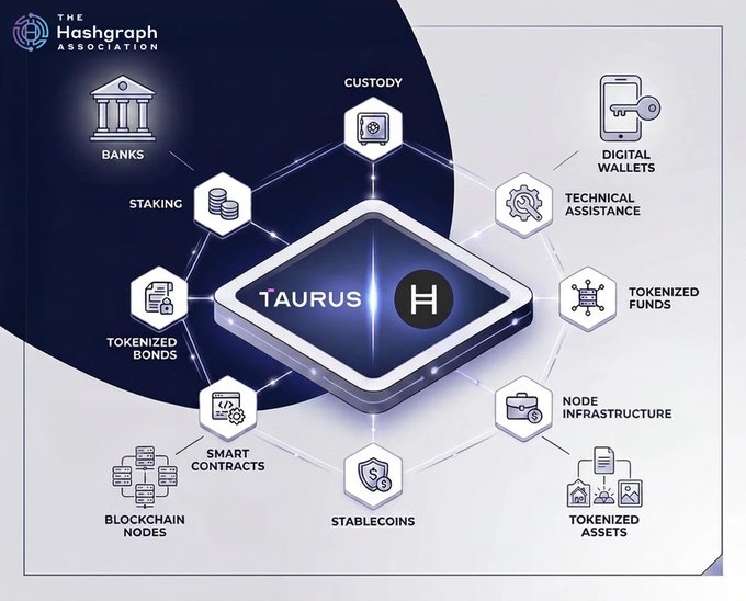 An infographic from The Hashgraph Association showing the 'TAURUS' ecosystem connected to various features including Banks, Custody, Digital Wallets, Staking, Tokenized Bonds, Smart Contracts, Blockchain Nodes, Stablecoins, Tokenized Assets, Node Infrastructure, Tokenized Funds, and Technical Assistance.