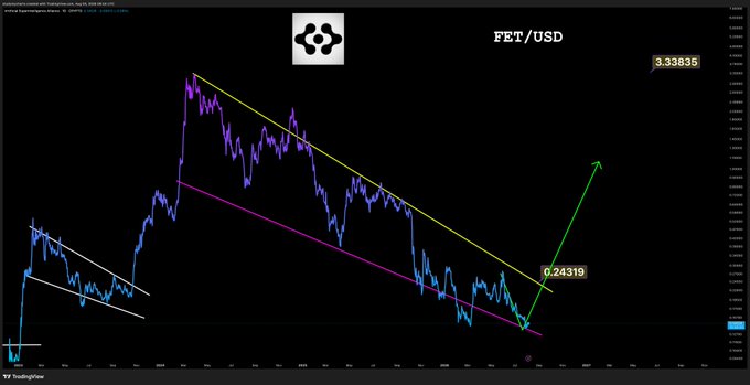 A TradingView chart of FET/USD shows the cryptocurrency bouncing off a descending channel support at approximately $0.24319, with an annotated green arrow projecting a potential upward move, aligning with the post's observation that $FET is reacting well on support.