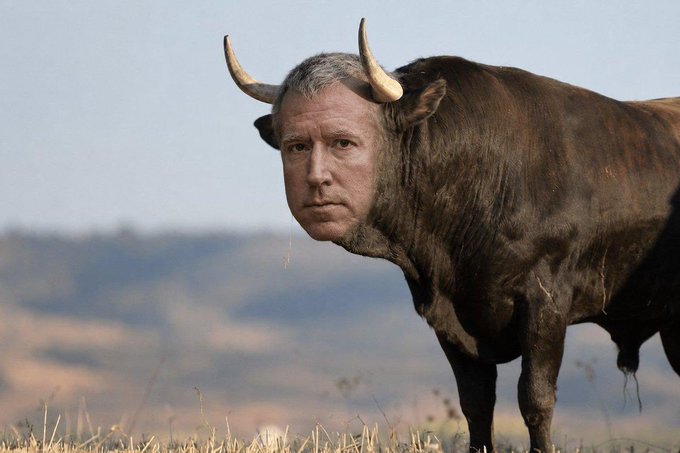 A surreal photo manipulation depicts a brown bull with the head of King Charles III standing in a dry, grassy field.