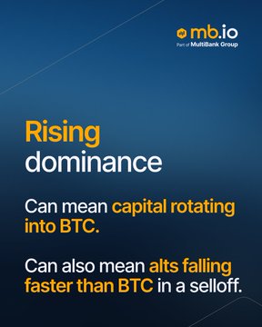 An amber.app slide titled 'Rising dominance' explaining that capital rotation into BTC can also mean altcoins falling faster in selloffs.