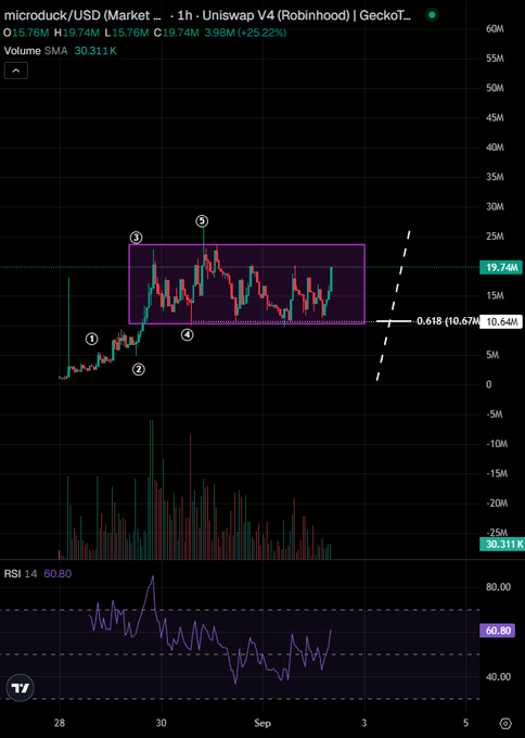 A TradingView 1-hour chart of Microduck (microduck/USD) on Uniswap V4 shows the token's price consolidating within a purple-shaded range between roughly 10.67M and 19.74M, with an annotated 0.618 Fibonacci level at 10.67M and RSI at 60.80 supporting bullish momentum — illustrating the post's thesis that a breakout above the 25M mark could trigger a rapid rerating toward 100M.