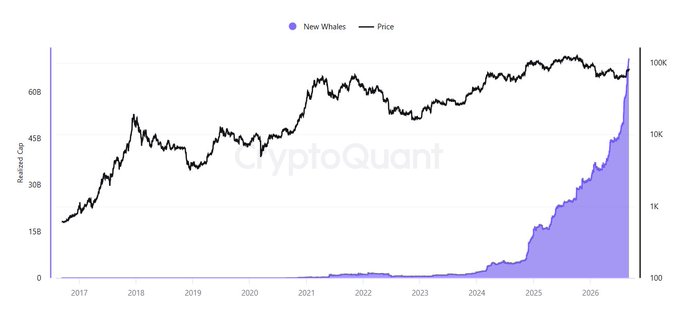 A CryptoQuant financial chart tracking 'New Whales' (purple shaded area) against 'Price' (black line) from 2017 to 2026, showing a significant surge in whale numbers alongside rising prices.