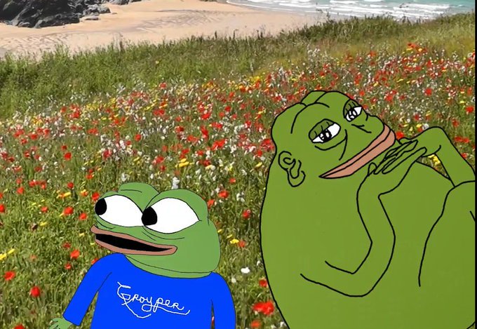 An animated scene featuring two green frog characters in a field of red and white flowers near a beach; the smaller frog on the left wears a blue shirt reading 'Spongeb'.