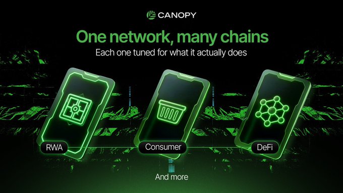 Canopy promotional graphic titled 'One network, many chains - Each one tuned for what it actually does,' displaying three green smartphone icons labeled RWA, Consumer, and DeFi.