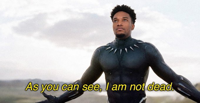 The image shows a man in a Black Panther costume standing in an open landscape, with the caption "As you can see, I am not dead." displayed at the bottom. This meme is used to humorously emphasize that the $ANSEM memecoin community remains confident and bullish despite a significant 25%+ price drop, treating the dip as a buying opportunity rather than a sign of failure.