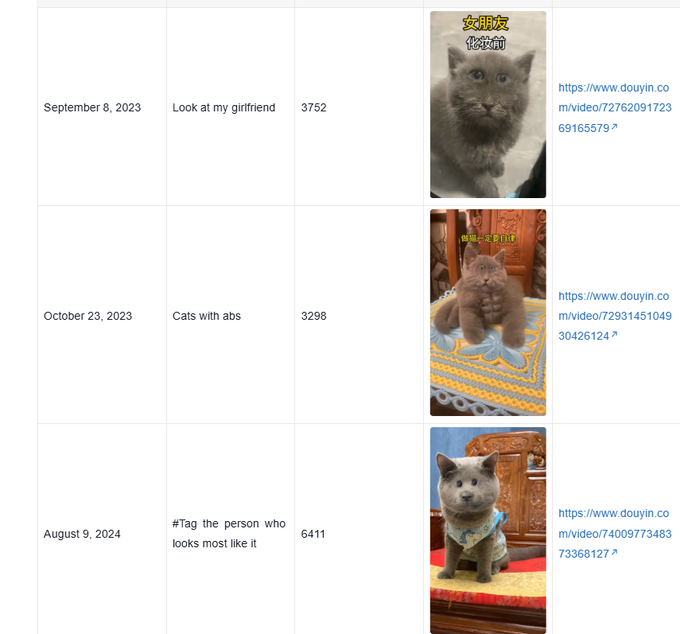 A table showing three viral Douyin videos of a gray cat named Sibai, with captions "Look at my girlfriend" (3,752 views, Sept 8, 2023), "Cats with abs" (3,298 views, Oct 23, 2023), and "#Tag the person who looks most like it" (6,411 views, Aug 9, 2024), illustrating his long-standing popularity as a meme template.