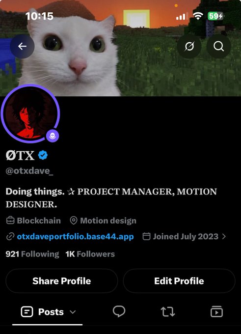 A mobile app screenshot of a Twitter/X profile for 'ØTX (@otxdave_)' describing themselves as a 'PROJECT MANAGER, MOTION DESIGNER', with a white cat as the profile banner.
