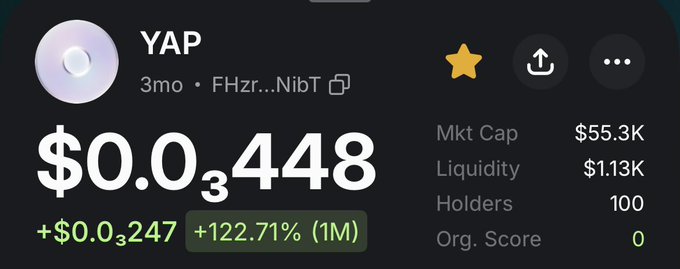 A cryptocurrency profile screen displays the token 'YAP' with a price of '$0.0₃448', showing a 122.71% gain over 1 month, a market cap of $55.3K, and 100 holders.