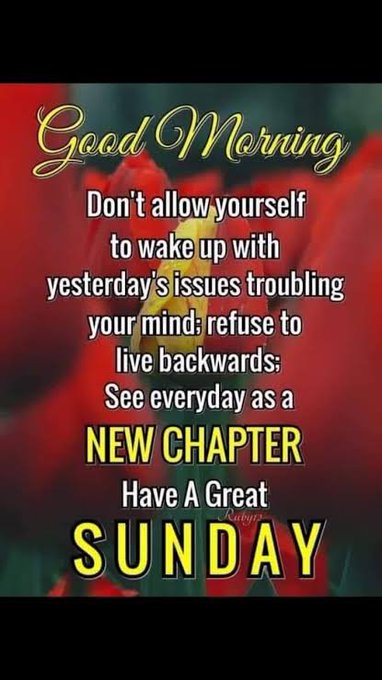 A 'Good Morning' inspirational graphic with a red flower background and text reading: 'Don't allow yourself to wake up with yesterday's issues troubling your mind; refuse to live backwards; See everyday as a NEW CHAPTER Have A Great SUNDAY'.