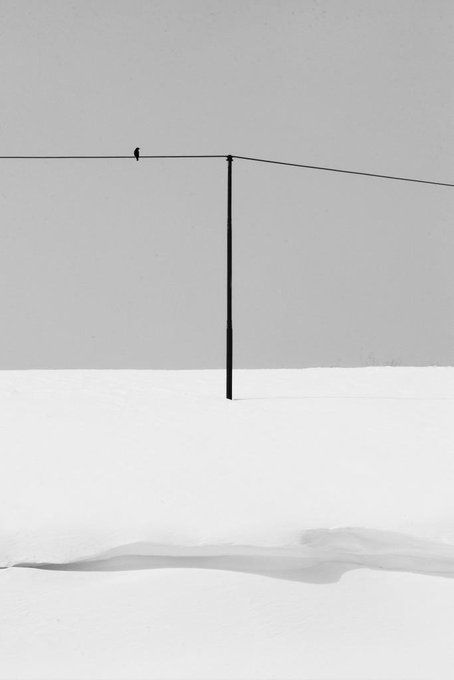 A stark black-and-white photograph captures a lone bird perched on a wire that crosses behind a vertical pole against a snowy landscape.