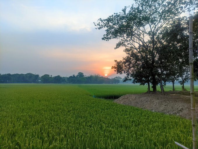 The image features a beautiful sunset over a large, green field with trees in the background. The sky is painted in shades of orange and blue, creating a serene atmosphere. In the foreground, there are two poles standing side by side, adding depth to the scene. The text "Good Evening This afternoon was very busy @NomismaNetwork" suggests that someone has posted this image on social media platforms like Instagram or Facebook.