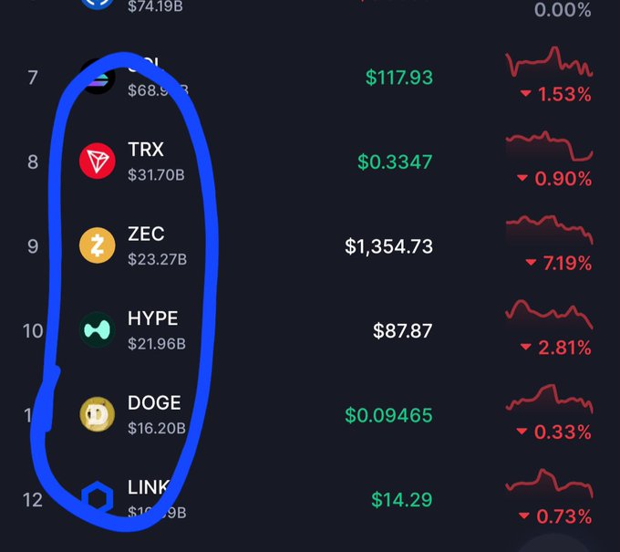 A cryptocurrency ranking list shows the top 7-12 coins by market cap (including TRX at $31.70B, ZEC at $23.27B, HYPE at $21.96B, DOGE at $16.20B, and LINK), all displayed in red/downward trend, with the numbers circled in blue to emphasize their declining positions and valuations.