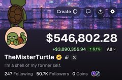 A social media profile screenshot for 'TheMisterTurtle' showing a username 'I'm a shell of my former self.', with 247 Following, 50.7K Followers, 0 Coins, and a balance of $546,802.28 (+$3,890,355.94, +6.1%, All-time).