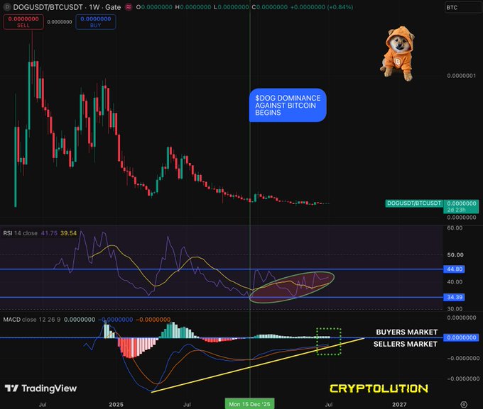 A TradingView technical analysis chart for the DOGUSDT/BTCUSDT pair, showing a downtrend in price with annotations like 'SDOG DOMINANCE AGAINST BITCOIN BEGINS' and 'BUYERS MARKET SELLERS MARKET', branded with 'CRYPTOLUTION' in the corner.