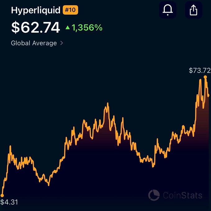 The image shows a CoinStats price chart for Hyperliquid (#10), displaying its value at $62.74 with a 1,356% increase, ranging from a low of $4.31 to a high of $73.72. This visually supports the post's claim that HYPE is a top 10 coin trading around $62, illustrating the token's significant growth despite the volatility shown in its fluctuating price history.