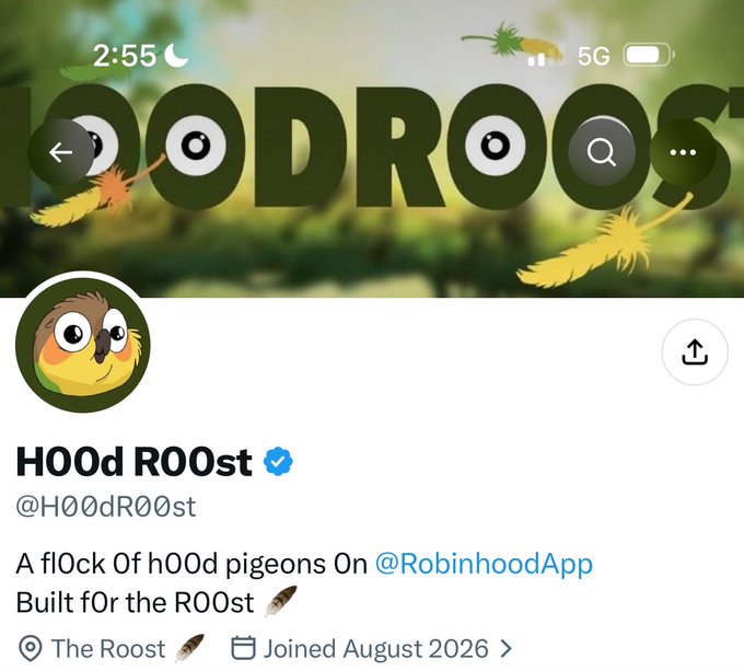 A screenshot of the verified X/Twitter profile "@H00dR00st" displaying the name "H00d R00st" with a bio reading "A fl0ck 0f h00d pigeons On @RobinhoodApp Built f0r the R00st," joining August 2026. The accompanying caption highlights a 2500-supply token launch on Robinhood and playfully questions the owl logo's vibe, with the image confirming the account's branding and penguin-themed aesthetic.