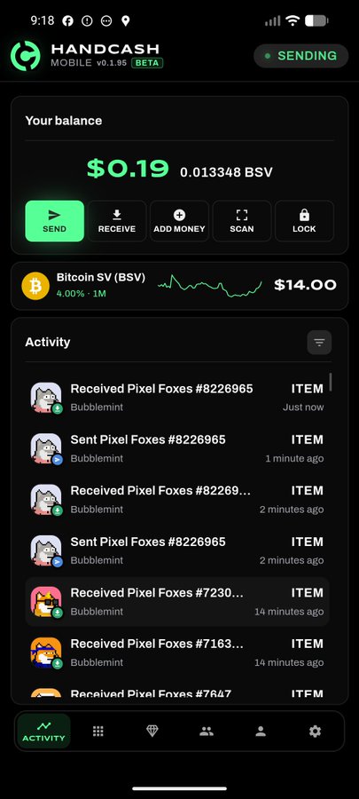 A screenshot of the HandCash Mobile app showing a balance of $0.19 (0.013348 BSV), with Bitcoin SV (BSV) priced at $14.00 and activity logs of Pixel Foxes transactions.