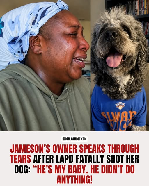 A woman in a green hoodie and blue headscarf, with tears streaming down her face, stands beside a dog wearing a blue shirt with "SWAG" printed on it.
