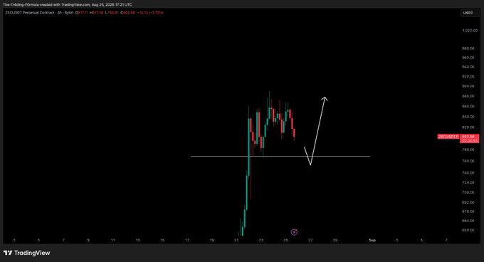 A TradingView chart of ZEC/USDT Perpetual Contract on Bybit shows price consolidating around $790, with a white arrow indicating a projected drop to the $780 support level (marked by a horizontal line) followed by a potential bounce. This visually represents the analyst's stated plan to wait for a small dump to $780 before considering long entries based on the price reaction.