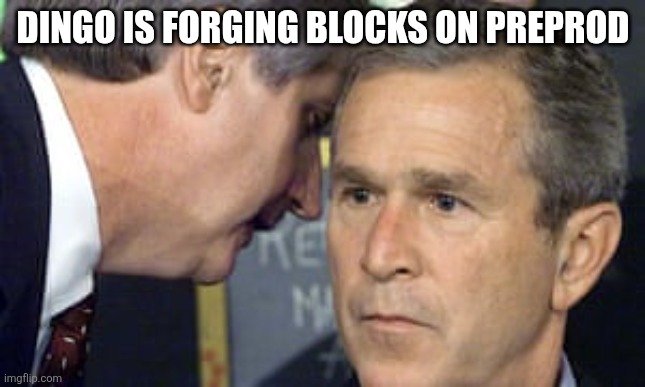 A meme featuring George W. Bush with the text "DINGO IS FORGING BLOCKS ON PREPROD" overlaid at the top.